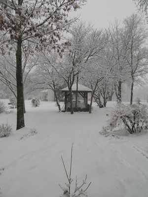 picture of the snowy outdoors